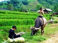 BAN HO VILLAGE & NAM TOONG VILLAGE FULL DAY