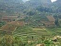 MUONG HOA VALLEY - TREKKING TOUR