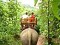 ELEPHANT RIDE IN YOK DON FULL DAY TRIP